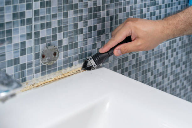Best Professional Mold Removal  in Franklin, TX