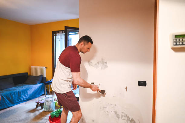 Best Local Mold Removal Service  in Franklin, TX