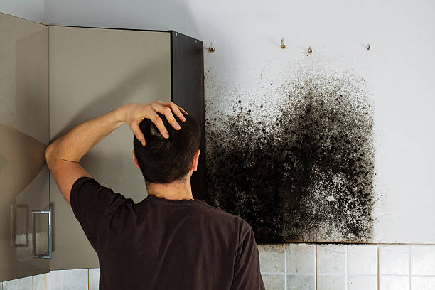 Best Mold Cleaning Services  in Franklin, TX